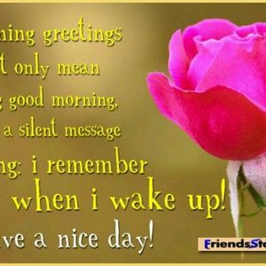 Meet your Posher, Toya